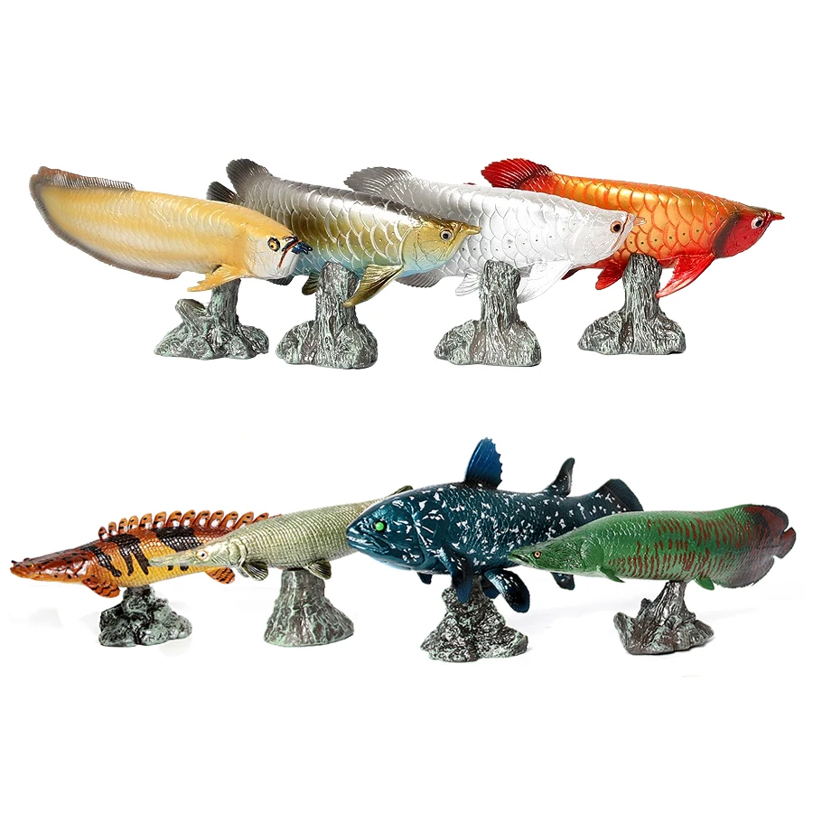 Arowana Pirarucu Coelacanth Bi - Kids Toys Reviews recensie en prijs