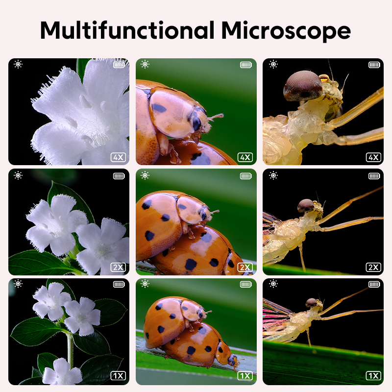 Mini optische microscoop voor  - Microscope Kids Science recensie en prijs