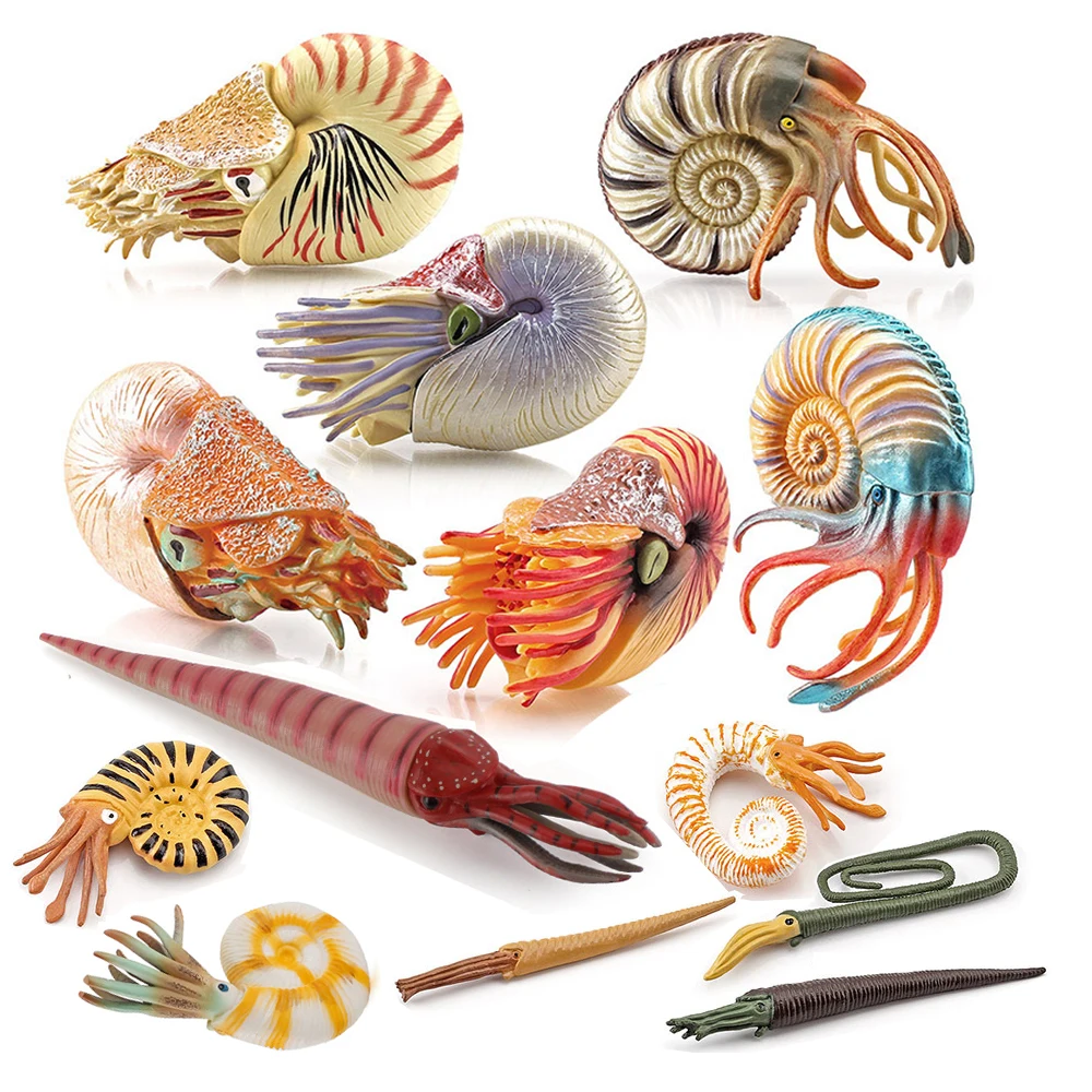 Marine speelgoeddieren Nautilu - Kids Toys Reviews recensie en prijs